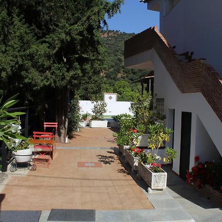Apartamento Guadiaro 3 Ainhoa Бенаохан Экстерьер фото